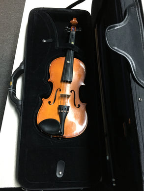 Violin (All Accessories) – Lippertmusic